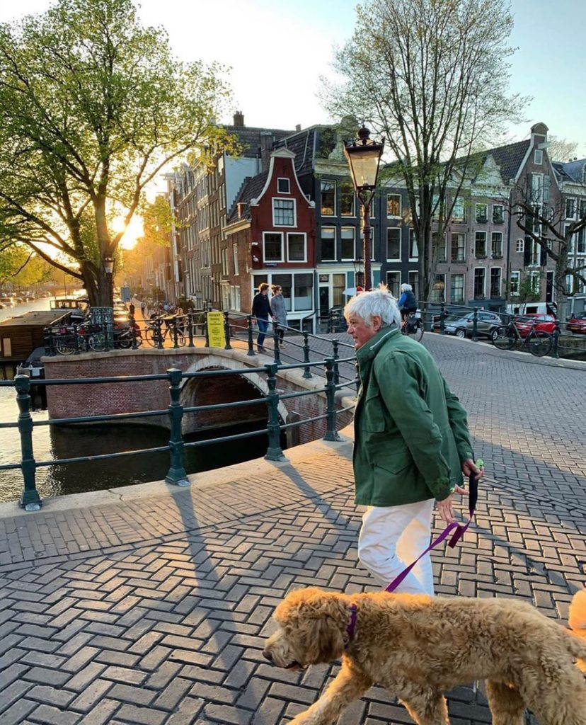 Амстердам - дружелюбный город для собак?